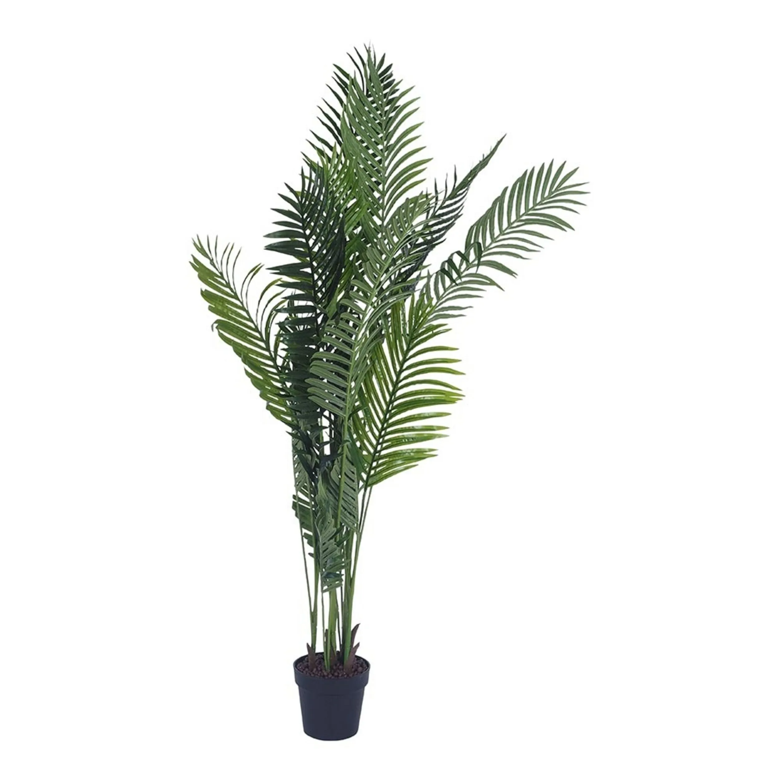 Eden Potted Areca Palm 175cm