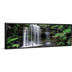 " Rainforest, Mt. Field National Park, Tasmania, Australia" Black Float Frame Canvas Art