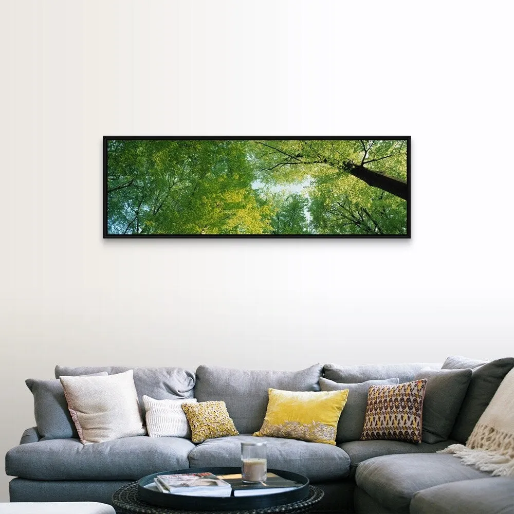 "Beech Forest " Black Float Frame Canvas Art